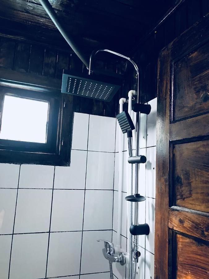 Hostel Flamingo コスティネシュティ エクステリア 写真