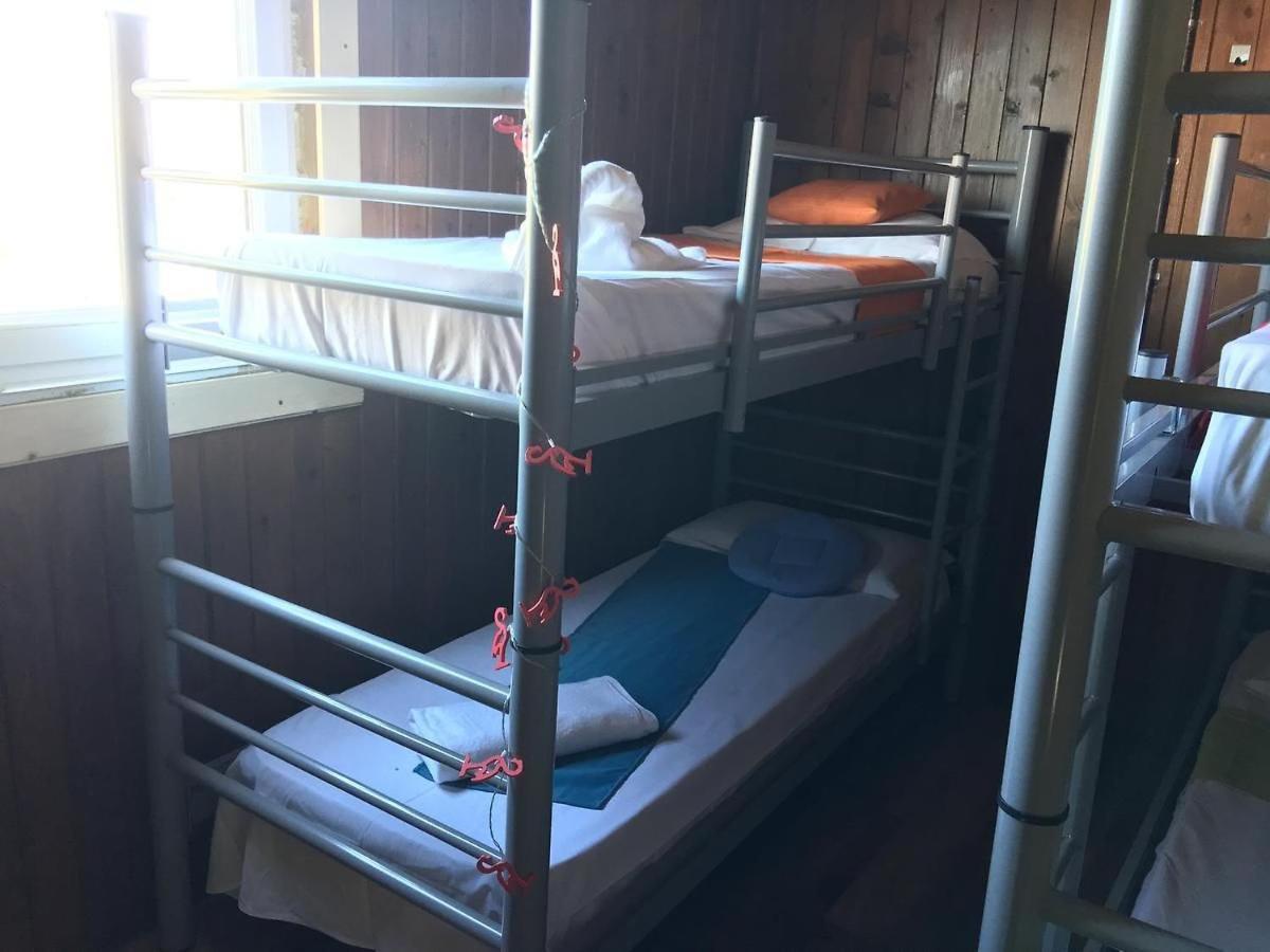 Hostel Flamingo コスティネシュティ エクステリア 写真