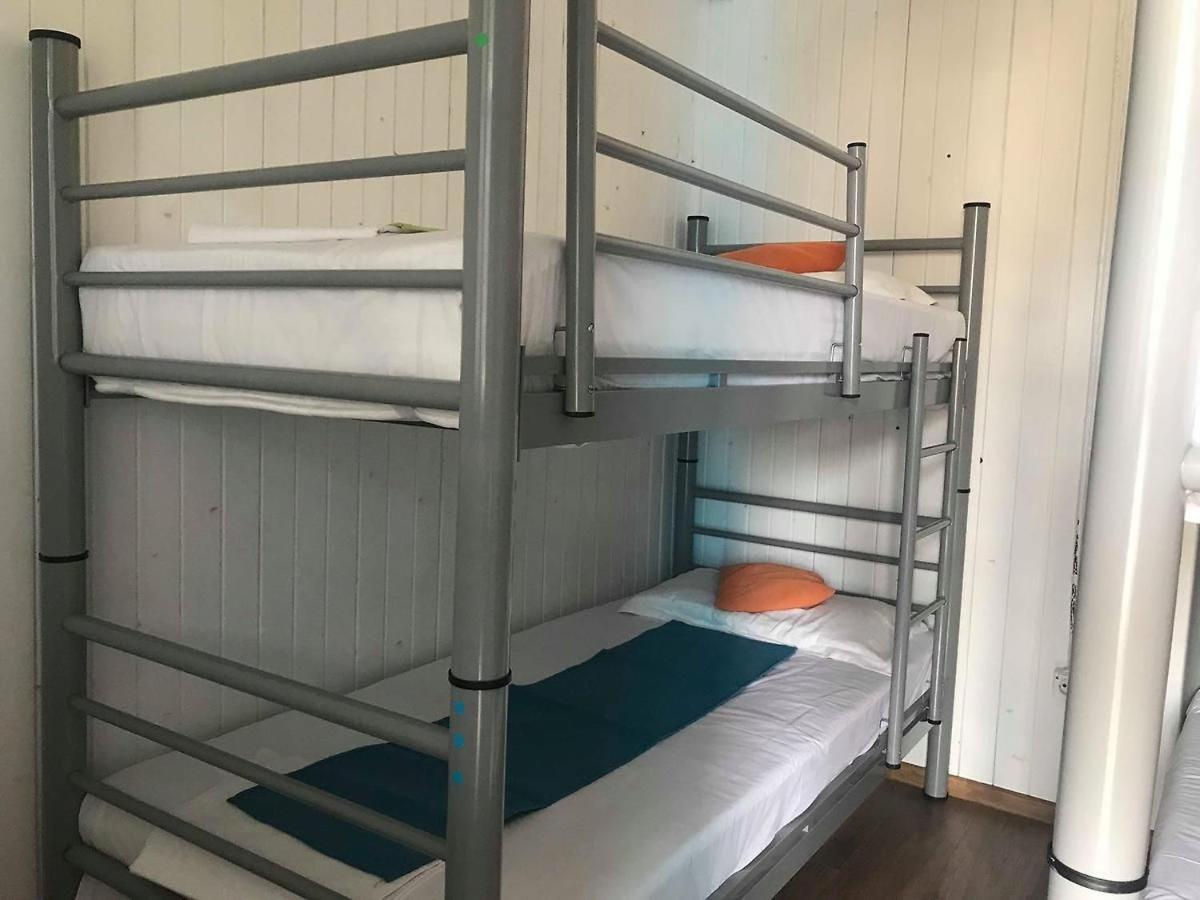 Hostel Flamingo コスティネシュティ エクステリア 写真