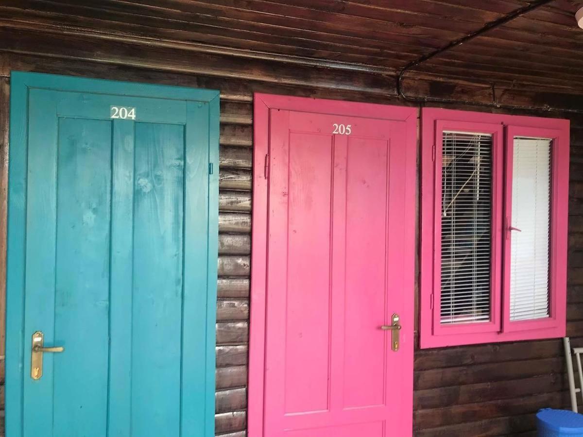 Hostel Flamingo コスティネシュティ エクステリア 写真